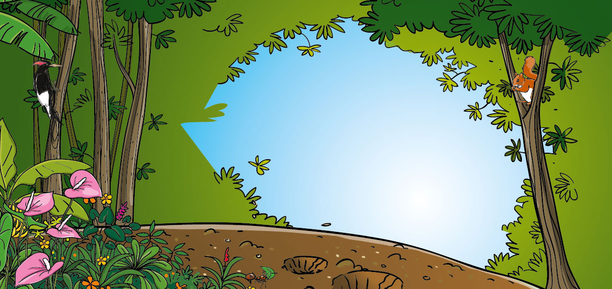 Slide-environnement-fond-01